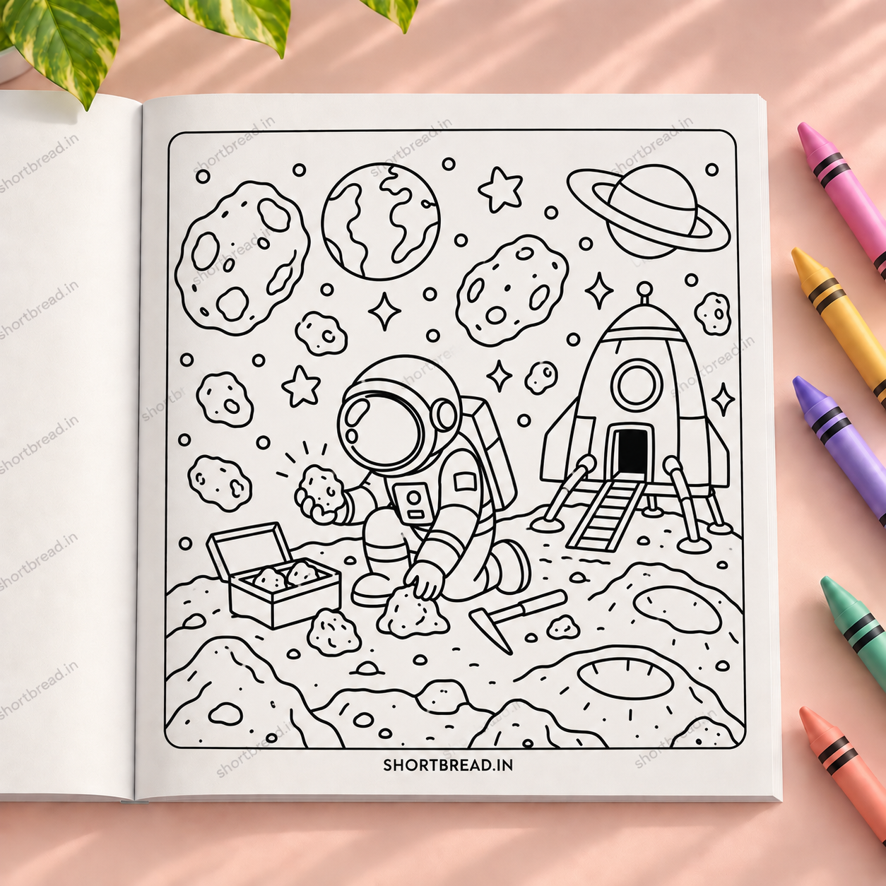 My Universe - Adult Coloring Books
