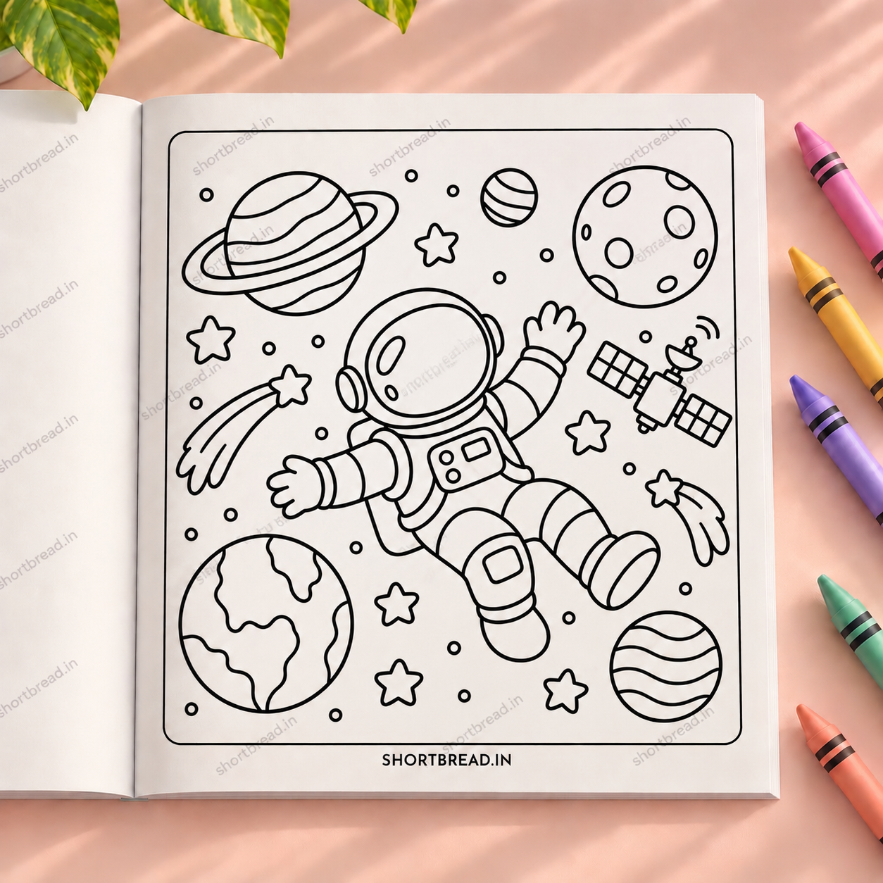 My Universe - Adult Coloring Books
