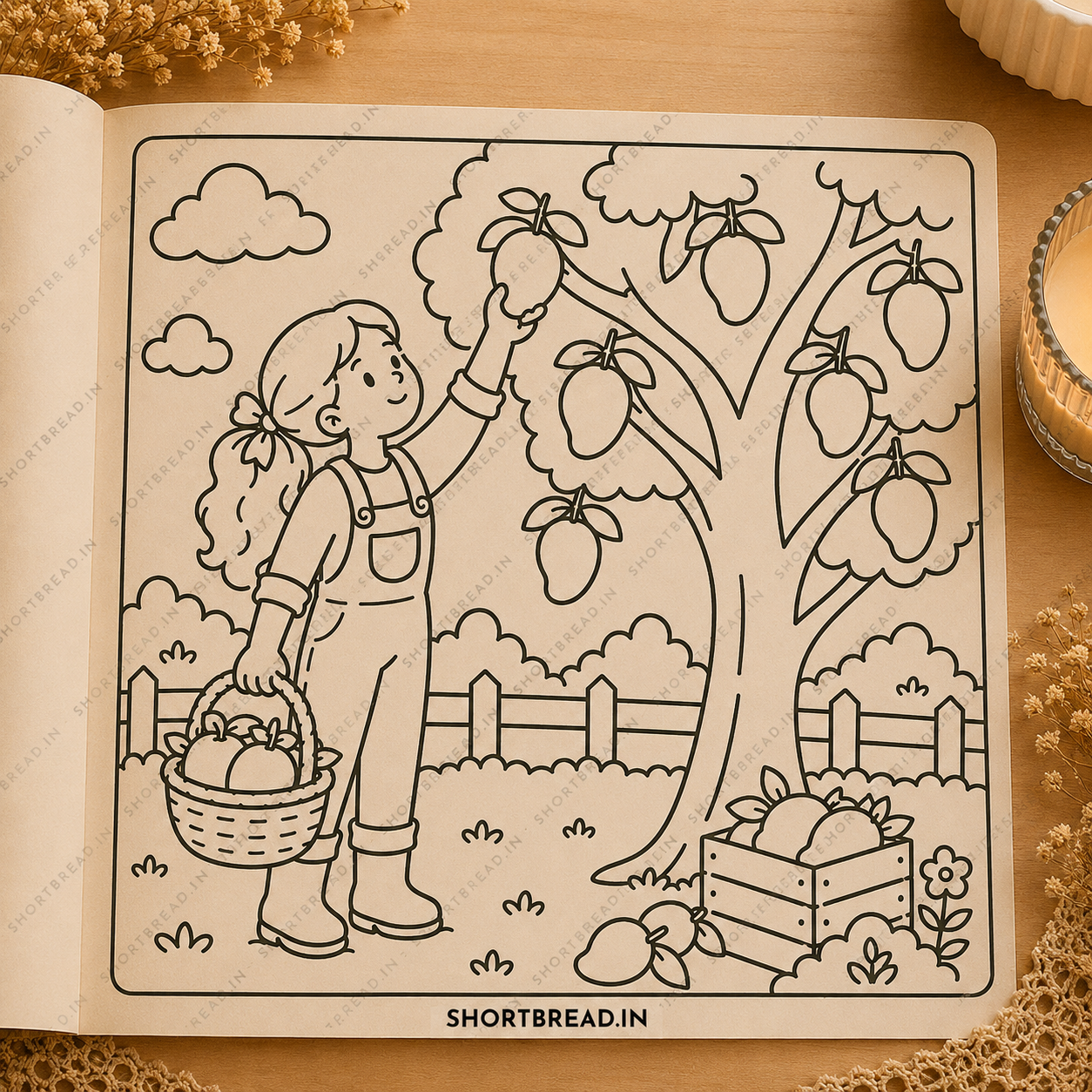 Country Farm - Coloring Book