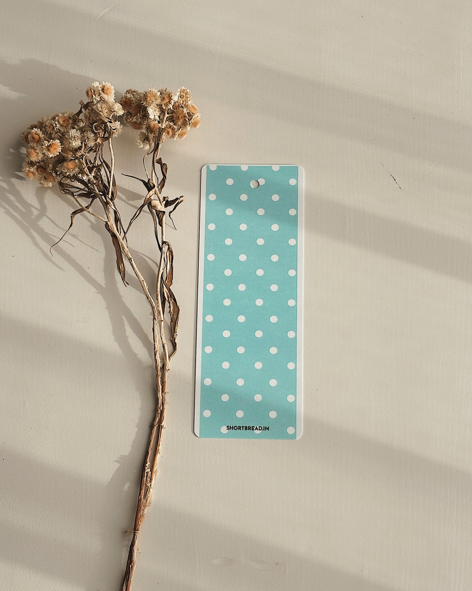 Skyspot bookmark