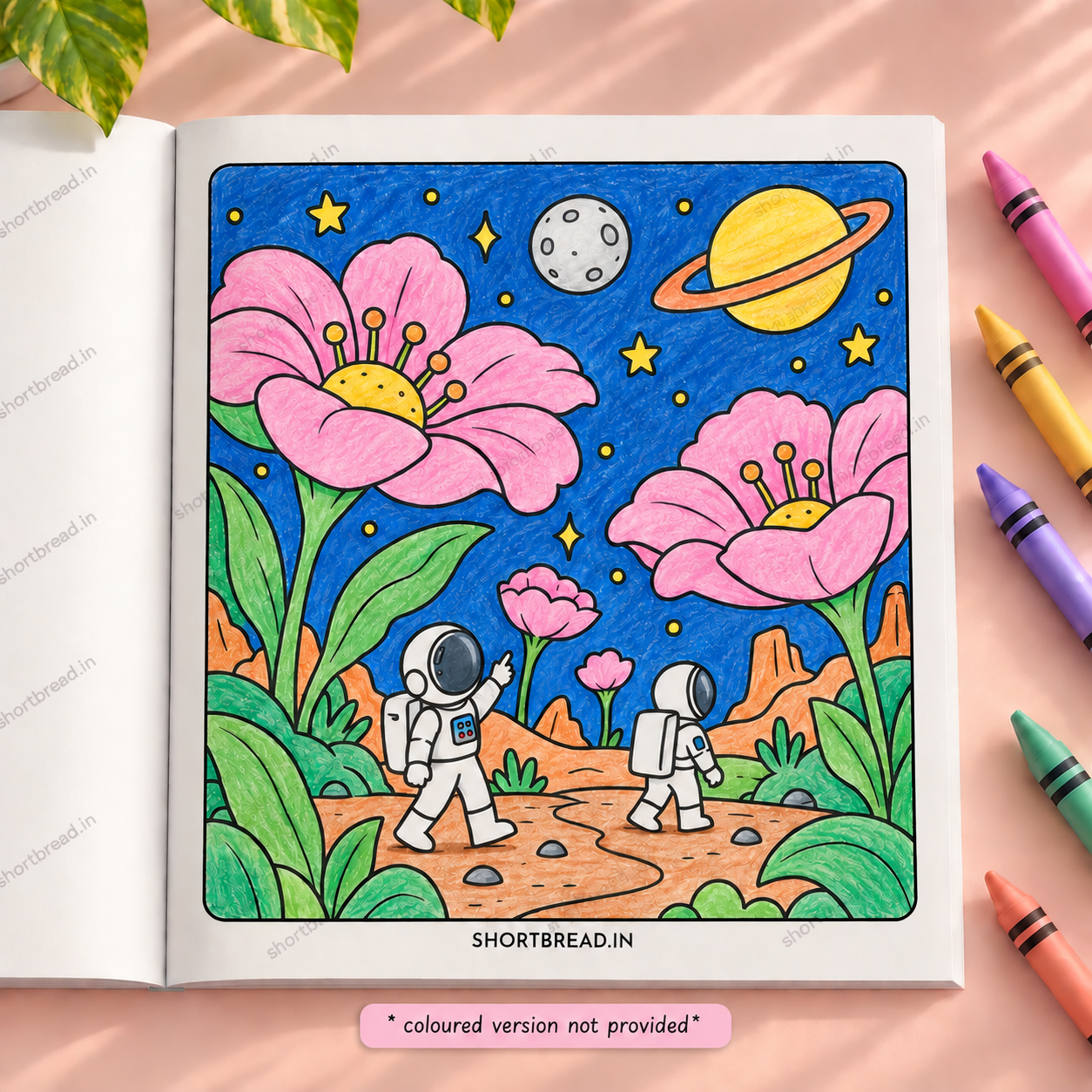 My Universe - Adult Coloring Books